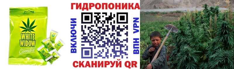 Печенье с ТГК марихуана  Купить закладки  Меленки 