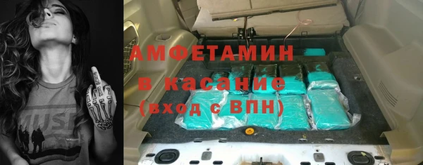 амф Бородино