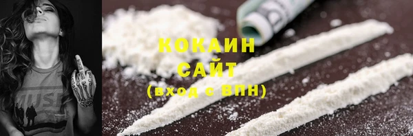 амф Бородино