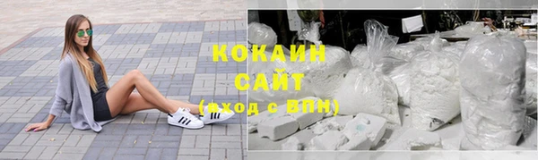 амф Бородино