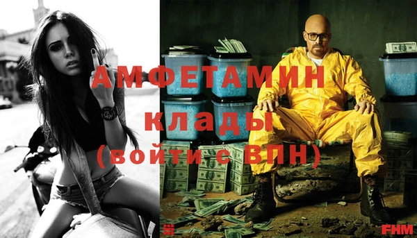 амф Бородино