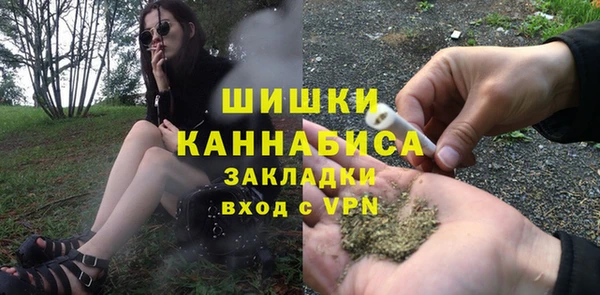 амф Бородино
