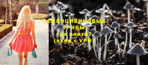 амф Бородино