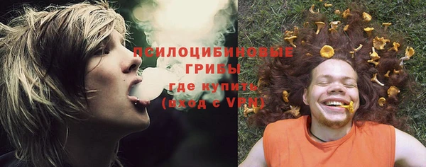 амф Бородино